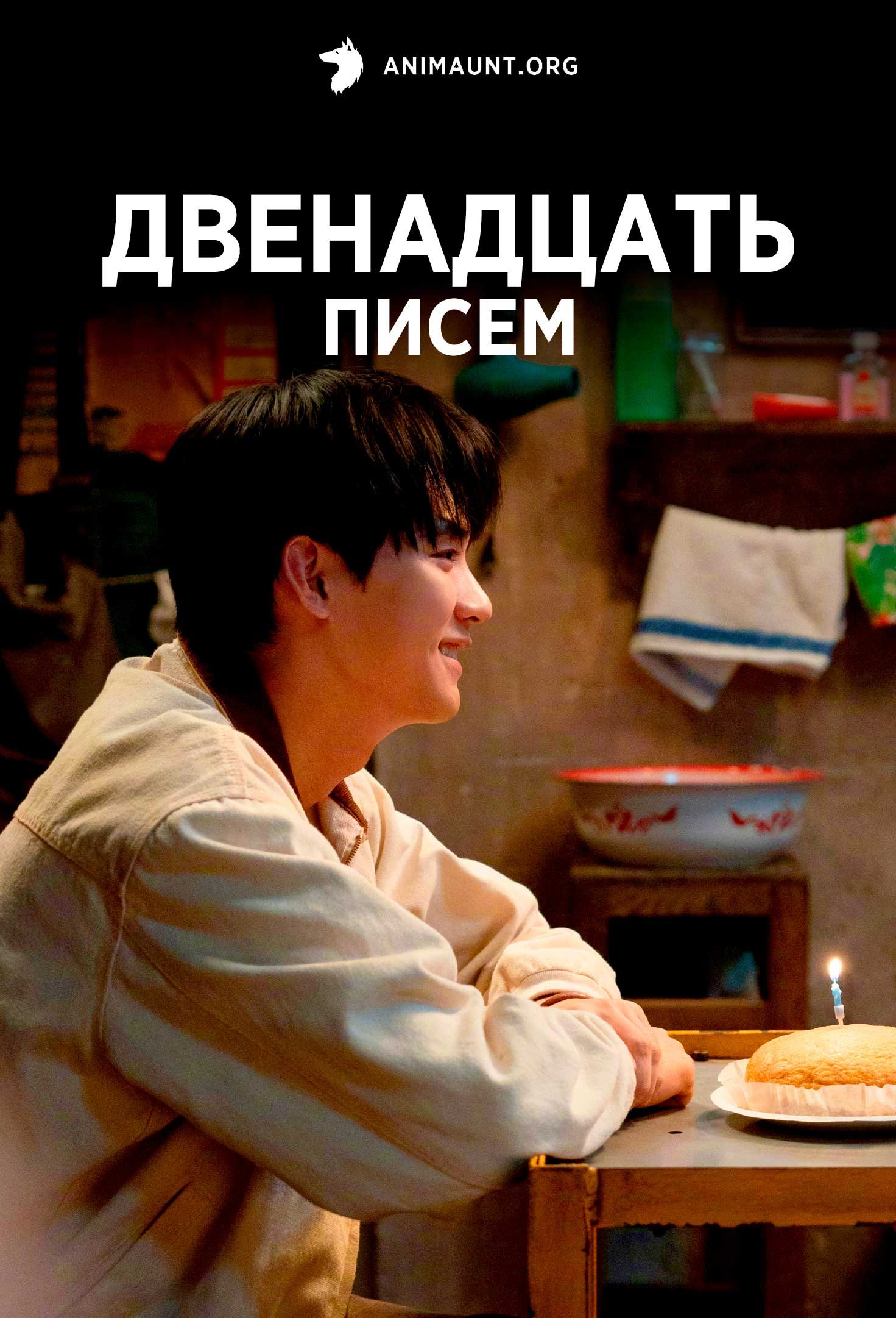 Двенадцать писем